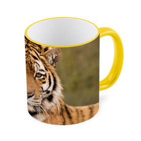 Кружка 3D с принтом Тигр в Тюмени, керамика | ёмкость 330 мл | Тематика изображения на принте: animal | predator | striped | tiger | view | wild | взгляд | дикий | животное | полосатый | тигр | хищник