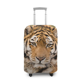 Чехол для чемодана 3D с принтом Тигр в Тюмени, 86% полиэфир, 14% спандекс | двустороннее нанесение принта, прорези для ручек и колес | animal | predator | striped | tiger | view | wild | взгляд | дикий | животное | полосатый | тигр | хищник