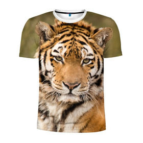 Мужская футболка 3D спортивная с принтом Тигр в Тюмени, 100% полиэстер с улучшенными характеристиками | приталенный силуэт, круглая горловина, широкие плечи, сужается к линии бедра | animal | predator | striped | tiger | view | wild | взгляд | дикий | животное | полосатый | тигр | хищник