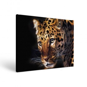 Холст прямоугольный с принтом Леопард в Тюмени, 100% ПВХ |  | animal | leopard | look | predator | spotted | wild | взгляд | дикий | животное | леопард | пятнистый | хищник