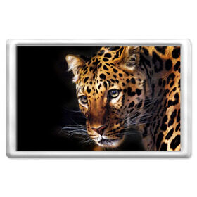 Магнит 45*70 с принтом Леопард в Тюмени, Пластик | Размер: 78*52 мм; Размер печати: 70*45 | animal | leopard | look | predator | spotted | wild | взгляд | дикий | животное | леопард | пятнистый | хищник