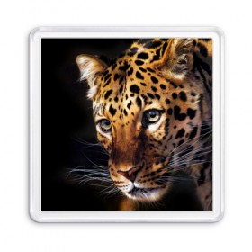 Магнит 55*55 с принтом Леопард в Тюмени, Пластик | Размер: 65*65 мм; Размер печати: 55*55 мм | animal | leopard | look | predator | spotted | wild | взгляд | дикий | животное | леопард | пятнистый | хищник