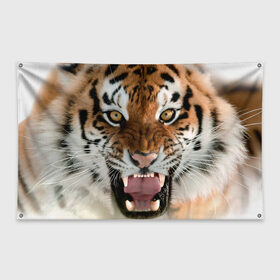 Флаг-баннер с принтом Тигр в Тюмени, 100% полиэстер | размер 67 х 109 см, плотность ткани — 95 г/м2; по краям флага есть четыре люверса для крепления | animal | predator | striped | tiger | view | wild | взгляд | дикий | животное | полосатый | тигр | хищник