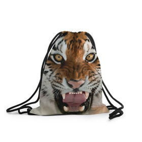 Рюкзак-мешок 3D с принтом Тигр в Тюмени, 100% полиэстер | плотность ткани — 200 г/м2, размер — 35 х 45 см; лямки — толстые шнурки, застежка на шнуровке, без карманов и подкладки | Тематика изображения на принте: animal | predator | striped | tiger | view | wild | взгляд | дикий | животное | полосатый | тигр | хищник