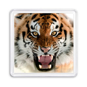 Магнит 55*55 с принтом Тигр в Тюмени, Пластик | Размер: 65*65 мм; Размер печати: 55*55 мм | Тематика изображения на принте: animal | predator | striped | tiger | view | wild | взгляд | дикий | животное | полосатый | тигр | хищник