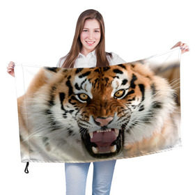 Флаг 3D с принтом Тигр в Тюмени, 100% полиэстер | плотность ткани — 95 г/м2, размер — 67 х 109 см. Принт наносится с одной стороны | animal | predator | striped | tiger | view | wild | взгляд | дикий | животное | полосатый | тигр | хищник