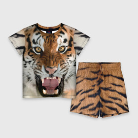 Детский костюм с шортами 3D с принтом Тигр в Тюмени,  |  | Тематика изображения на принте: animal | predator | striped | tiger | view | wild | взгляд | дикий | животное | полосатый | тигр | хищник