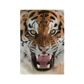 Обложка для паспорта матовая кожа с принтом Тигр в Тюмени, натуральная матовая кожа | размер 19,3 х 13,7 см; прозрачные пластиковые крепления | Тематика изображения на принте: animal | predator | striped | tiger | view | wild | взгляд | дикий | животное | полосатый | тигр | хищник