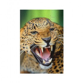 Обложка для паспорта матовая кожа с принтом Леопард в Тюмени, натуральная матовая кожа | размер 19,3 х 13,7 см; прозрачные пластиковые крепления | Тематика изображения на принте: animal | leopard | look | predator | spotted | wild | взгляд | дикий | животное | леопард | пятнистый | хищник