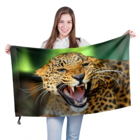 Флаг 3D с принтом Леопард в Тюмени, 100% полиэстер | плотность ткани — 95 г/м2, размер — 67 х 109 см. Принт наносится с одной стороны | animal | leopard | look | predator | spotted | wild | взгляд | дикий | животное | леопард | пятнистый | хищник