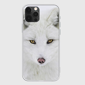 Чехол для iPhone 12 Pro Max с принтом Полярная лиса в Тюмени, Силикон |  | animal | polar fox | predator | sly | white | wild | белая | дикая | животное | лиса | полярная | хитрая | хищник