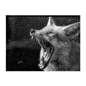 Обложка для студенческого билета с принтом Лиса в Тюмени, натуральная кожа | Размер: 11*8 см; Печать на всей внешней стороне | animal | bw | fox | jaws | predator | sly | teeth | wild | yawn | дикая | животное | зевает | зубы | лиса | пасть | хитрая | хищник | чб