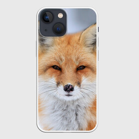 Чехол для iPhone 13 mini с принтом Лиса в Тюмени,  |  | animal | fox | look | predator | red | sly | wild | взгляд | дикая | животное | лиса | рыжая | хитрая | хищник