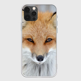 Чехол для iPhone 12 Pro Max с принтом Лиса в Тюмени, Силикон |  | animal | baby | fox | look | predator | red | sly | wild | взгляд | дикая | животное | лиса | малыш | рыжая | хитрая | хищник