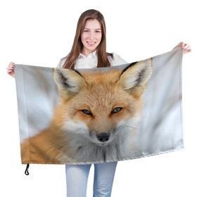 Флаг 3D с принтом Лиса в Тюмени, 100% полиэстер | плотность ткани — 95 г/м2, размер — 67 х 109 см. Принт наносится с одной стороны | animal | baby | fox | look | predator | red | sly | wild | взгляд | дикая | животное | лиса | малыш | рыжая | хитрая | хищник
