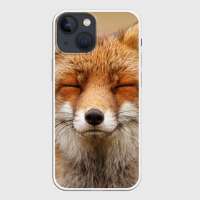 Чехол для iPhone 13 mini с принтом Лиса в Тюмени,  |  | animal | baby | fox | look | predator | red | sly | wild | взгляд | дикая | животное | лиса | малыш | рыжая | хитрая | хищник