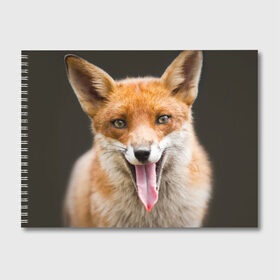 Альбом для рисования с принтом Лиса в Тюмени, 100% бумага
 | матовая бумага, плотность 200 мг. | Тематика изображения на принте: animal | fox | look | predator | red | sly | wild | взгляд | дикая | животное | лиса | рыжая | хитрая | хищник