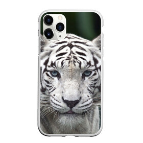 Чехол для iPhone 11 Pro матовый с принтом Белый тигр в Тюмени, Силикон |  | Тематика изображения на принте: animal | jungle | look | predator | tiger | white | wild | белый | взгляд | джунгли | дикий | животное | тигр | хищник