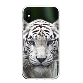 Чехол для iPhone XS Max матовый с принтом Белый тигр в Тюмени, Силикон | Область печати: задняя сторона чехла, без боковых панелей | Тематика изображения на принте: animal | jungle | look | predator | tiger | white | wild | белый | взгляд | джунгли | дикий | животное | тигр | хищник