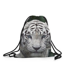 Рюкзак-мешок 3D с принтом Белый тигр в Тюмени, 100% полиэстер | плотность ткани — 200 г/м2, размер — 35 х 45 см; лямки — толстые шнурки, застежка на шнуровке, без карманов и подкладки | animal | jungle | look | predator | tiger | white | wild | белый | взгляд | джунгли | дикий | животное | тигр | хищник