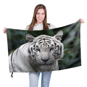 Флаг 3D с принтом Белый тигр в Тюмени, 100% полиэстер | плотность ткани — 95 г/м2, размер — 67 х 109 см. Принт наносится с одной стороны | animal | jungle | look | predator | tiger | white | wild | белый | взгляд | джунгли | дикий | животное | тигр | хищник