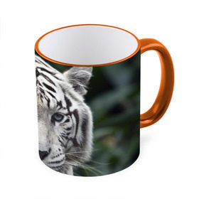 Кружка 3D с принтом Белый тигр в Тюмени, керамика | ёмкость 330 мл | animal | jungle | look | predator | tiger | white | wild | белый | взгляд | джунгли | дикий | животное | тигр | хищник