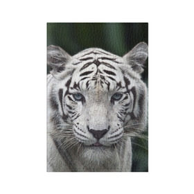 Обложка для паспорта матовая кожа с принтом Белый тигр в Тюмени, натуральная матовая кожа | размер 19,3 х 13,7 см; прозрачные пластиковые крепления | Тематика изображения на принте: animal | jungle | look | predator | tiger | white | wild | белый | взгляд | джунгли | дикий | животное | тигр | хищник
