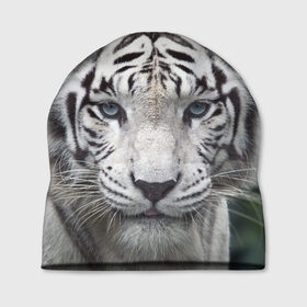 Шапка 3D с принтом Белый тигр в Тюмени, 100% полиэстер | универсальный размер, печать по всей поверхности изделия | animal | jungle | look | predator | tiger | white | wild | белый | взгляд | джунгли | дикий | животное | тигр | хищник