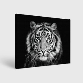 Холст прямоугольный с принтом Тигр в Тюмени, 100% ПВХ |  | Тематика изображения на принте: animal | black   white | look | predator | tiger | wild | взгляд | дикий | животное | тигр | хищник | черно   белый