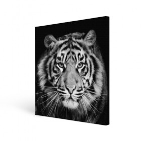 Холст квадратный с принтом Тигр в Тюмени, 100% ПВХ |  | animal | black   white | look | predator | tiger | wild | взгляд | дикий | животное | тигр | хищник | черно   белый