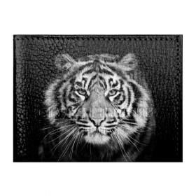 Обложка для студенческого билета с принтом Тигр в Тюмени, натуральная кожа | Размер: 11*8 см; Печать на всей внешней стороне | animal | black   white | look | predator | tiger | wild | взгляд | дикий | животное | тигр | хищник | черно   белый