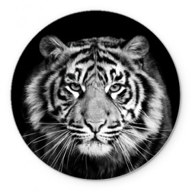 Коврик круглый с принтом Тигр в Тюмени, резина и полиэстер | круглая форма, изображение наносится на всю лицевую часть | animal | black   white | look | predator | tiger | wild | взгляд | дикий | животное | тигр | хищник | черно   белый