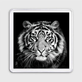 Магнит 55*55 с принтом Тигр в Тюмени, Пластик | Размер: 65*65 мм; Размер печати: 55*55 мм | Тематика изображения на принте: animal | black   white | look | predator | tiger | wild | взгляд | дикий | животное | тигр | хищник | черно   белый