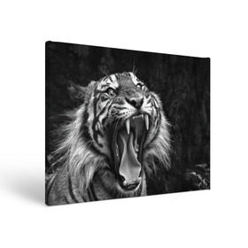 Холст прямоугольный с принтом Тигр в Тюмени, 100% ПВХ |  | Тематика изображения на принте: animal | black   white | fangs | jaws | jungle | predator | teeth | tiger | wild | джунгли | дикий | животное | клыки | оскал | пасть | тигр | хищник | черно   белый