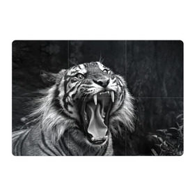 Магнитный плакат 3Х2 с принтом Тигр в Тюмени, Полимерный материал с магнитным слоем | 6 деталей размером 9*9 см | animal | black   white | fangs | jaws | jungle | predator | teeth | tiger | wild | джунгли | дикий | животное | клыки | оскал | пасть | тигр | хищник | черно   белый