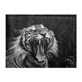 Обложка для студенческого билета с принтом Тигр в Тюмени, натуральная кожа | Размер: 11*8 см; Печать на всей внешней стороне | animal | black   white | fangs | jaws | jungle | predator | teeth | tiger | wild | джунгли | дикий | животное | клыки | оскал | пасть | тигр | хищник | черно   белый