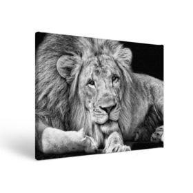 Холст прямоугольный с принтом Лев в Тюмени, 100% ПВХ |  | animal | black   white | king | lies | lion | look | predator | wild | взгляд | дикий | животное | зверь | лев | лежит | хищник | царь | черно   белый