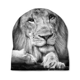 Шапка 3D с принтом Лев в Тюмени, 100% полиэстер | универсальный размер, печать по всей поверхности изделия | animal | black   white | king | lies | lion | look | predator | wild | взгляд | дикий | животное | зверь | лев | лежит | хищник | царь | черно   белый