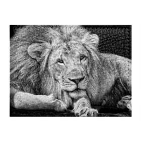 Обложка для студенческого билета с принтом Лев в Тюмени, натуральная кожа | Размер: 11*8 см; Печать на всей внешней стороне | animal | black   white | king | lies | lion | look | predator | wild | взгляд | дикий | животное | зверь | лев | лежит | хищник | царь | черно   белый