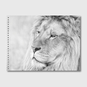 Альбом для рисования с принтом Лев в Тюмени, 100% бумага
 | матовая бумага, плотность 200 мг. | animal | black   white | king | lion | look | predator | wild | взгляд | дикий | животное | зверь | лев | хищник | царь | черно   белый