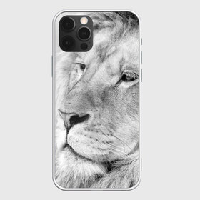 Чехол для iPhone 12 Pro Max с принтом Лев в Тюмени, Силикон |  | animal | black   white | king | lion | look | predator | wild | взгляд | дикий | животное | зверь | лев | хищник | царь | черно   белый