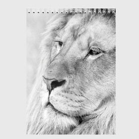 Скетчбук с принтом Лев в Тюмени, 100% бумага
 | 48 листов, плотность листов — 100 г/м2, плотность картонной обложки — 250 г/м2. Листы скреплены сверху удобной пружинной спиралью | animal | black   white | king | lion | look | predator | wild | взгляд | дикий | животное | зверь | лев | хищник | царь | черно   белый