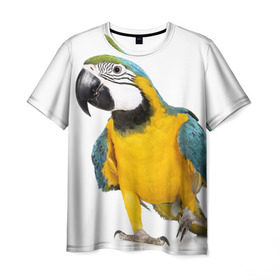 Мужская футболка 3D с принтом Попугай ара в Тюмени, 100% полиэфир | прямой крой, круглый вырез горловины, длина до линии бедер | желтый | птица | синий | экзотика