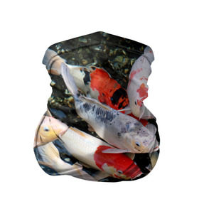 Бандана-труба 3D с принтом Koi Fish (карпы кои) в Тюмени, 100% полиэстер, ткань с особыми свойствами — Activecool | плотность 150‒180 г/м2; хорошо тянется, но сохраняет форму | Тематика изображения на принте: bright | brocade | carp | color | decorative | depth | exotic | fish | koi | koi fish | sea | water | вода | глубина | декоративные | карпы | кои | море | парчовый | рыбки | цвет | экзотические | яркий