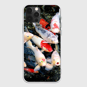 Чехол для iPhone 12 Pro Max с принтом Koi Fish (карпы кои) в Тюмени, Силикон |  | bright | brocade | carp | color | decorative | depth | exotic | fish | koi | koi fish | sea | water | вода | глубина | декоративные | карпы | кои | море | парчовый | рыбки | цвет | экзотические | яркий