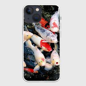Чехол для iPhone 13 mini с принтом Koi Fish (карпы кои) в Тюмени,  |  | bright | brocade | carp | color | decorative | depth | exotic | fish | koi | koi fish | sea | water | вода | глубина | декоративные | карпы | кои | море | парчовый | рыбки | цвет | экзотические | яркий