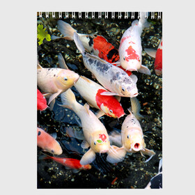 Скетчбук с принтом Koi Fish (карпы кои) в Тюмени, 100% бумага
 | 48 листов, плотность листов — 100 г/м2, плотность картонной обложки — 250 г/м2. Листы скреплены сверху удобной пружинной спиралью | bright | brocade | carp | color | decorative | depth | exotic | fish | koi | koi fish | sea | water | вода | глубина | декоративные | карпы | кои | море | парчовый | рыбки | цвет | экзотические | яркий