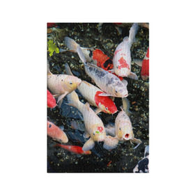 Обложка для паспорта матовая кожа с принтом Koi Fish (карпы кои) в Тюмени, натуральная матовая кожа | размер 19,3 х 13,7 см; прозрачные пластиковые крепления | Тематика изображения на принте: bright | brocade | carp | color | decorative | depth | exotic | fish | koi | koi fish | sea | water | вода | глубина | декоративные | карпы | кои | море | парчовый | рыбки | цвет | экзотические | яркий