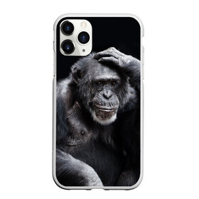 Чехол для iPhone 11 Pro матовый с принтом ЕГЭ в Тюмени, Силикон |  | егэ | обезьяна | шимпанзе | школа | экзамен | экзамены