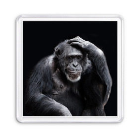 Магнит 55*55 с принтом ЕГЭ в Тюмени, Пластик | Размер: 65*65 мм; Размер печати: 55*55 мм | егэ | обезьяна | шимпанзе | школа | экзамен | экзамены